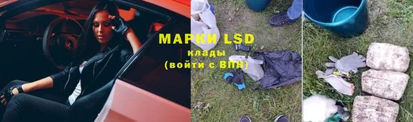 гашик Аркадак