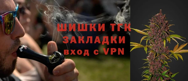 гашик Аркадак